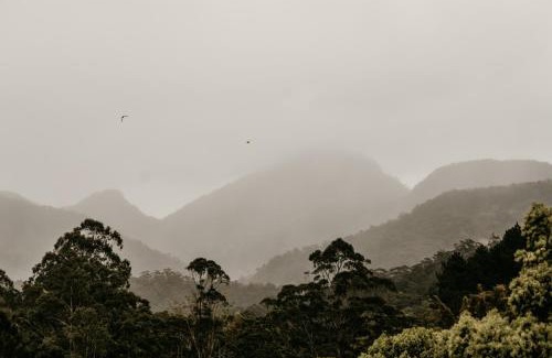 Mount Warning Appartement | Mavis's Cabins @ Mt Warning