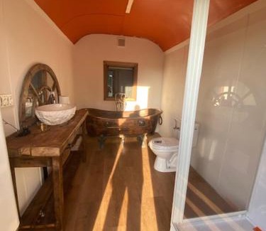 Bellegem Autre | Maya Lena dome