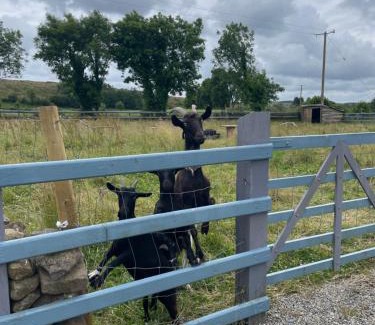 Dromahair Appartement | McCaffertys