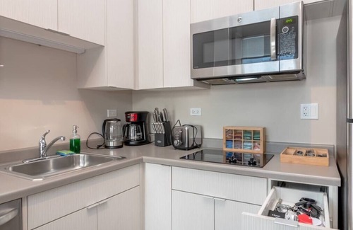 Near South Side Appartement | McCormick Place 2br/2ba with Optional Parking/Patio/Gym/sleeps 6