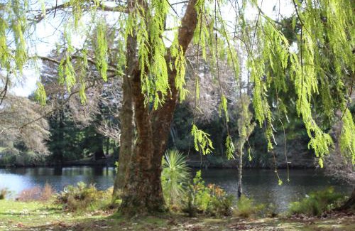 Lower Kaimai Maison | McLaren Lake View