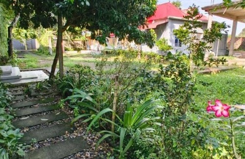 Tandur Maison | Meadow Bliss