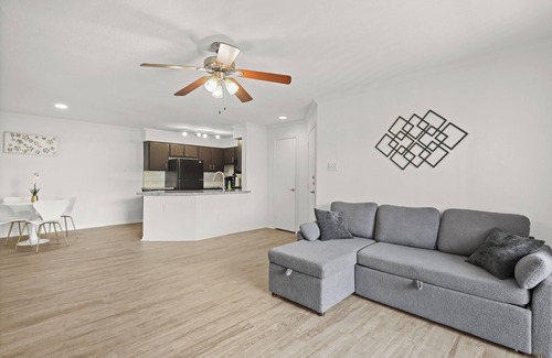 Astrodome Appartement | Med Center Apt Near NRG