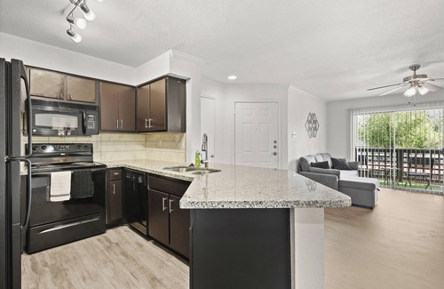 Astrodome Appartement | Med Center Apt Near NRG