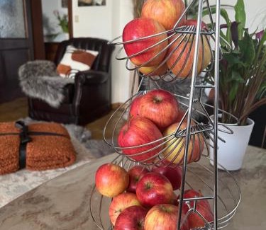 Gols Maison | Mediterrane Ferien Villa am Neusiedler See