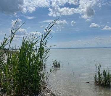 Gols Maison | Mediterrane Ferien Villa am Neusiedler See
