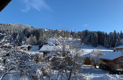 Megeve Chalet De Ski | Megève - Chalet Yack - Premium jusqu'à 15 pers