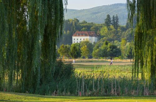 Steinakirchen am Forst Appartement | Meierhof