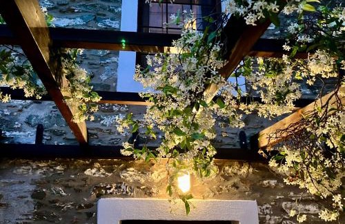 Agia Maison | Melivista