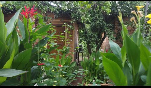Olympos Maison | mercan pension