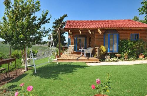 Metula Chalet De Ski | Meshi Belavan