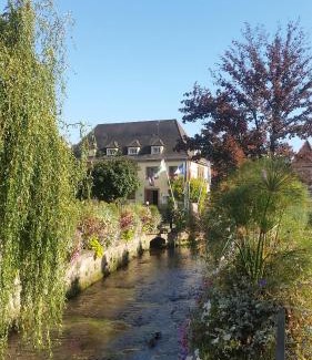 Niederbronn-les-Bains Appartement | Meublés du 25 N3 Studio 1er Etage