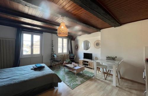 Porrentruy Appartement | Meunier tu dors ! au pied du Moulin