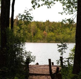 Renavas Appartement | Miško pasaka