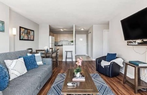 South Loop Copropriété | MICH AVE #5 Downtown, Grant Park, Museums 2bd/2ba