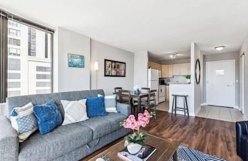 South Loop Copropriété | MICH AVE #5 Downtown, Grant Park, Museums 2bd/2ba