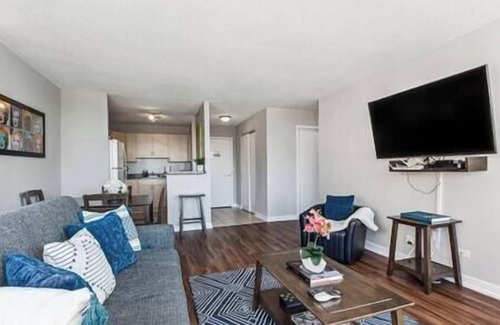 South Loop Copropriété | MICH AVE #5 Downtown, Grant Park, Museums 2bd/2ba