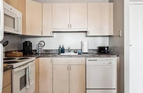 South Loop Copropriété | MICH AVE #5 Downtown, Grant Park, Museums 2bd/2ba