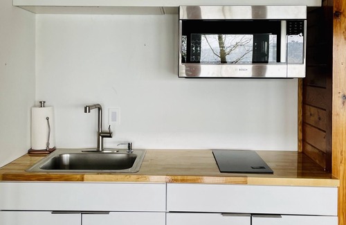 Ithaca Maison | Mid-Century modern Lakeview Stay