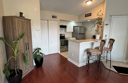 South Semoran Appartement | Mid-Century Studio Apt in Orlando near MCO Airport