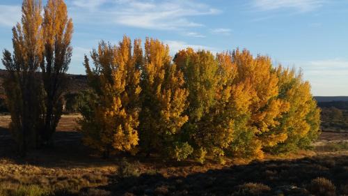 Karoo Hoogland Lit Et Petit-Déjeuner | Middelfontein Farm