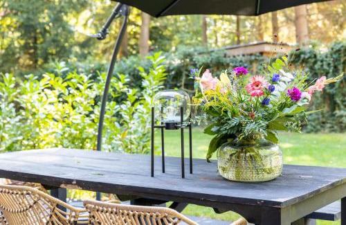 Appelscha Maison | midden in de bossen bij schapendrift 29