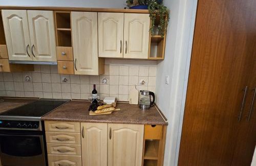Grunwald Appartement | Mieszkanie Częstochowska 9