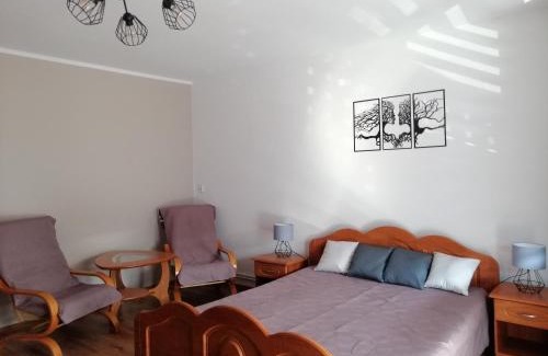 Piwniczna-Zdroj Appartement | Mieszkanie Nad Popradem INPIW03