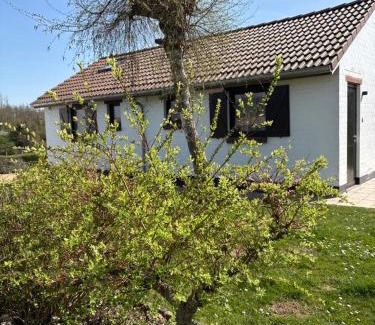 Westouter Maison | Mijn Kleinhof