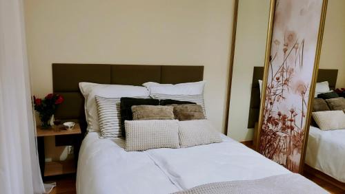 Mikoow Appartement | Mikołowski Sen