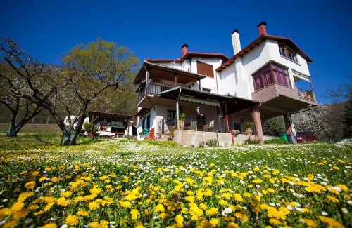 Naousa Maison | Militsa Guesthouse