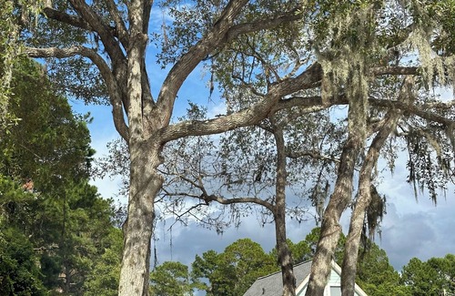 Florahome Cottage | Million Dollar Sunset Views by Cabin Coffee