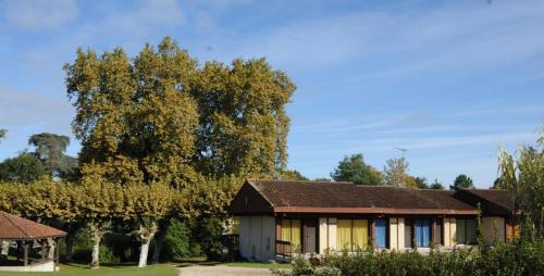 Morcenx Maison | Mimosas
