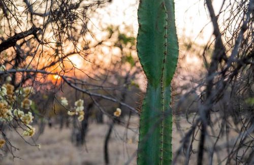 Hammanskraal Cabine | Minara Private Boutique Game Lodge