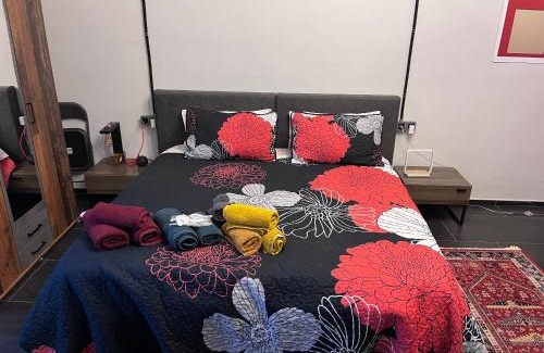 Vercelli Appartement | Minardi Apartments