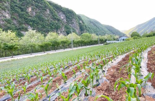 Jeongseon Maison | mindfulstay