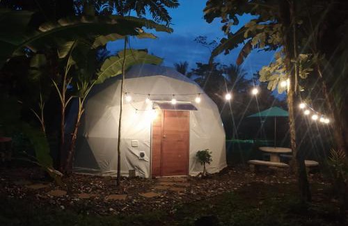 Guayabo Autre | Mineral River Eco Dome