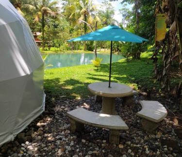 Guayabo Autre | Mineral River Eco Dome