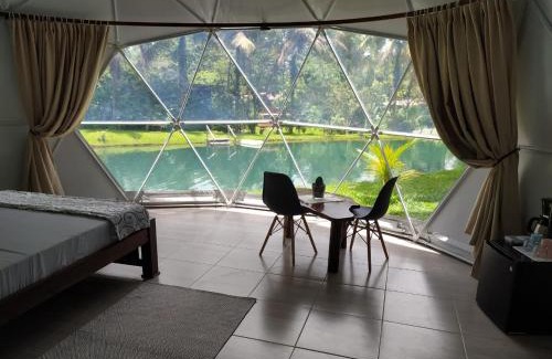 Guayabo Autre | Mineral River Eco Dome