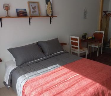Valdivia Appartement | Mini Casa Rocura Valdivia