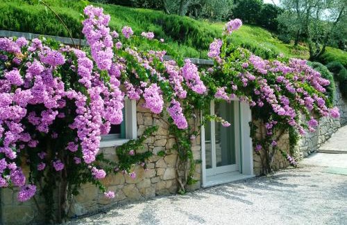 Frader Maison | MINI DI LUSSO CON PISCINA