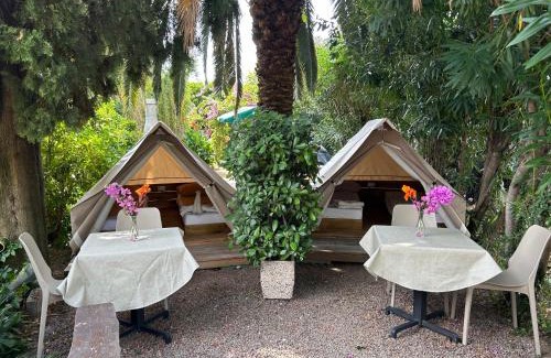 Torbole sul Garda Autre | Mini Glamping - Camping Al Porto