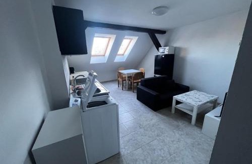 Szombathely Appartement | MINIBAR INCLUSIVE! TH325 City Center 60 sqm Apartment