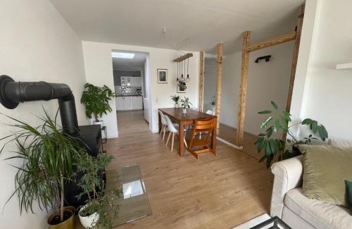 Pellenz Appartement | MiniLoft Andernach