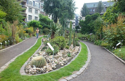 Jewish Quarter Appartement | Minutes Away to Antwerp Zoo, Belgium! Downtown w/Full Kitchen & Sun Terrace!