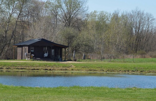 Westford Cabine | Minutes from Pymatuning, Cabin by the Pond
