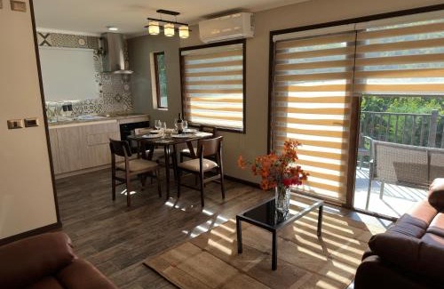 Osorno Appartement | Mirabosque aparmet Ejecutivo 7