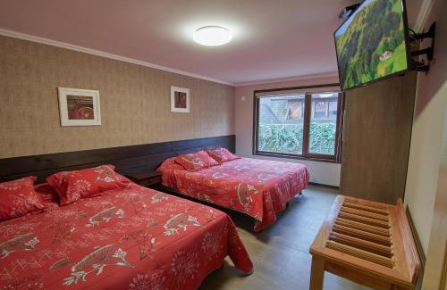 Osorno Appartement | mirabosque new aparments 4