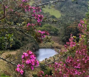 Sesquile Maison | Mirador de las aguas