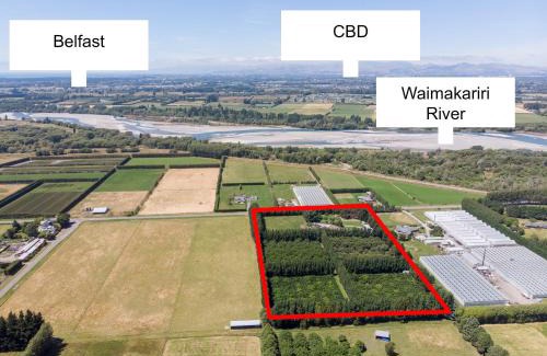 Clarkville Maison | Miranda Farm close to airport!